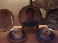 set of 5 princess diana collectors plates